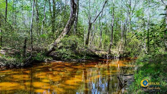 216 Acres of Recreational Land for Sale in Jefferson, South Carolina