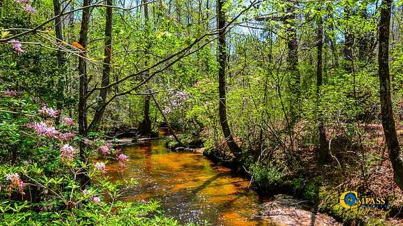 132 Acres of Recreational Land for Sale in Jefferson, South Carolina