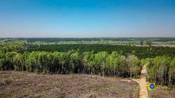 112 Acres of Recreational Land for Sale in Jefferson, South Carolina