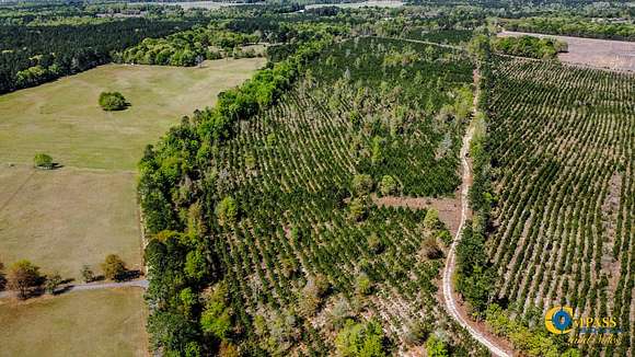 73 Acres of Recreational Land for Sale in North, South Carolina