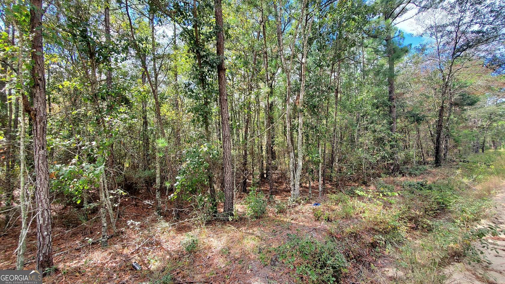 5 Acres of Residential Land for Sale in Lyons, Georgia