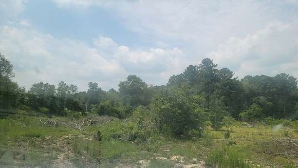 Recreational Land for Lease in Rebecca, Georgia