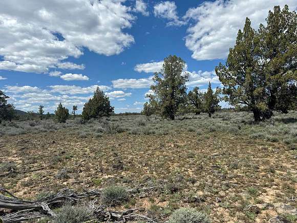 1.6 Acres of Residential Land for Sale in Beatty, Oregon - LandSearch