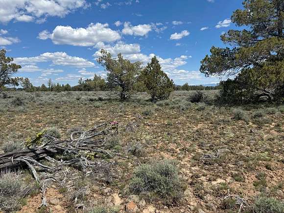 1.6 Acres of Residential Land for Sale in Beatty, Oregon - LandSearch