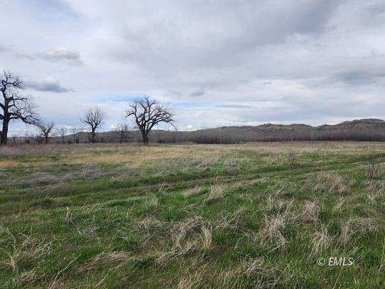 20.3 Acres of Recreational Land for Sale in Cat Creek, Montana