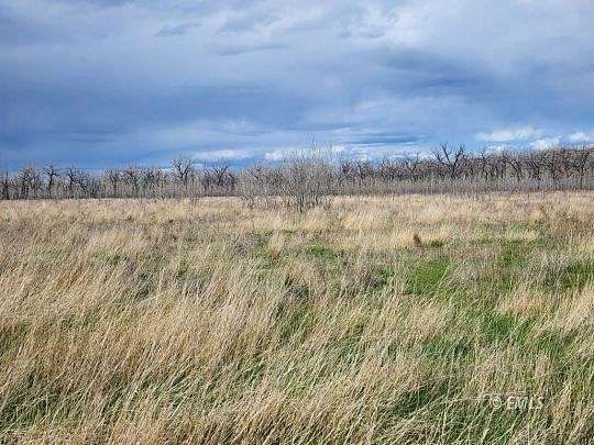 25.8 Acres of Recreational Land for Sale in Cat Creek, Montana