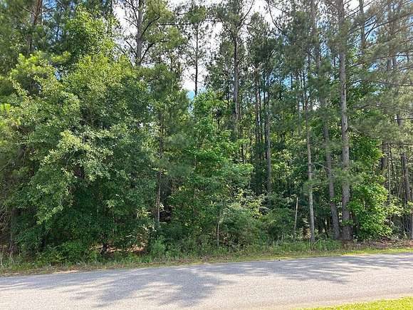 2.9 Acres of Residential Land for Sale in Abbeville, Georgia