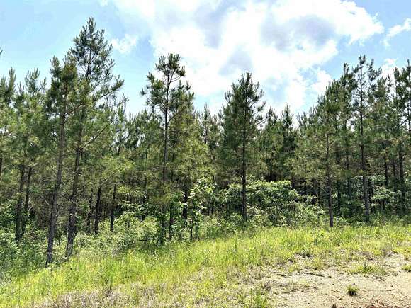 3.14 Acres of Residential Land for Sale in Sheridan, Arkansas