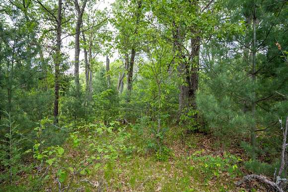 1.6 Acres of Residential Land for Sale in Grand Marsh, Wisconsin