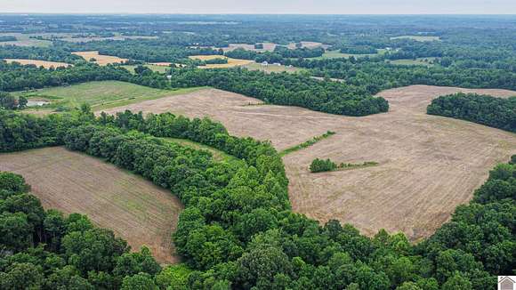 52.4 Acres of Agricultural Land for Sale in Princeton, Kentucky