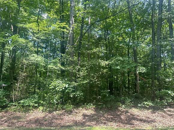 0.5 Acres of Residential Land for Sale in Ruther Glen, Virginia