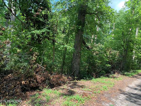 0.38 Acres of Land for Sale in Seymour, Tennessee