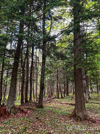 10 Acres of Recreational Land for Sale in Mass City, Michigan