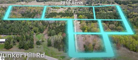 79.2 Acres of Land for Sale in Williamsburg, Michigan