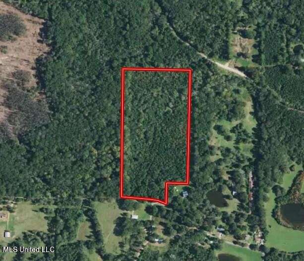 19 Acres of Recreational Land for Sale in Polkville, Mississippi