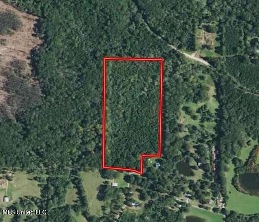19 Acres of Recreational Land for Sale in Polkville, Mississippi