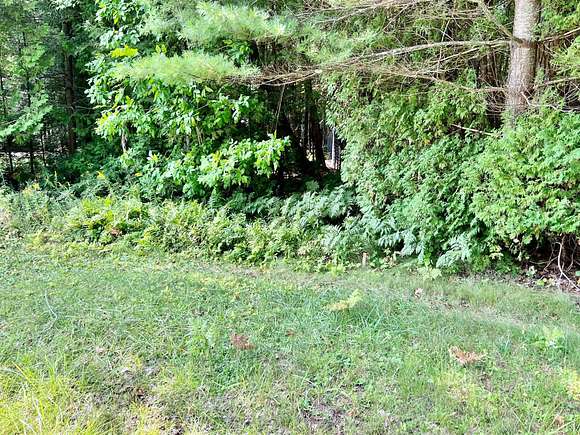 0.17 Acres of Residential Land for Sale in Greenbush, Michigan