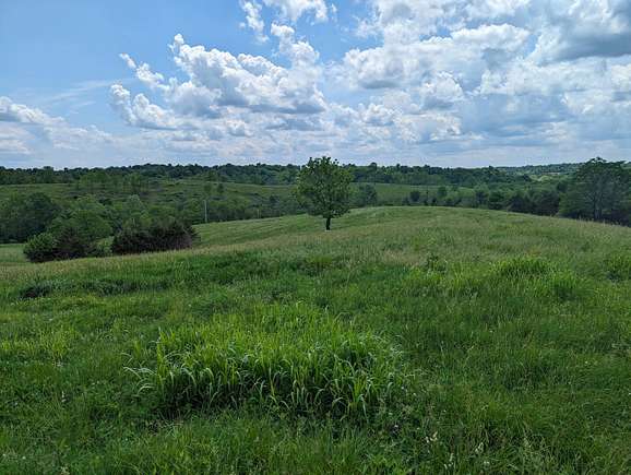 12.1 Acres of Land for Sale in Salvisa, Kentucky