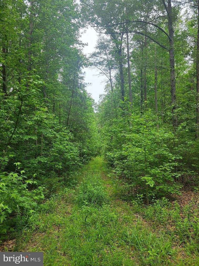 15.7 Acres of Land for Sale in Woodford, Virginia