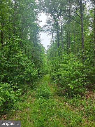 15.7 Acres of Land for Sale in Woodford, Virginia