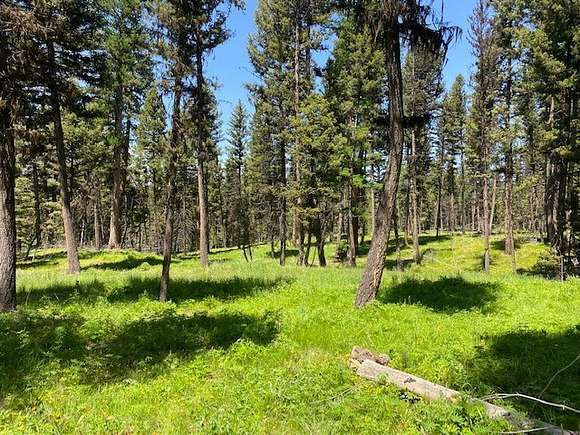 3 Acres of Residential Land for Sale in Seeley Lake, Montana