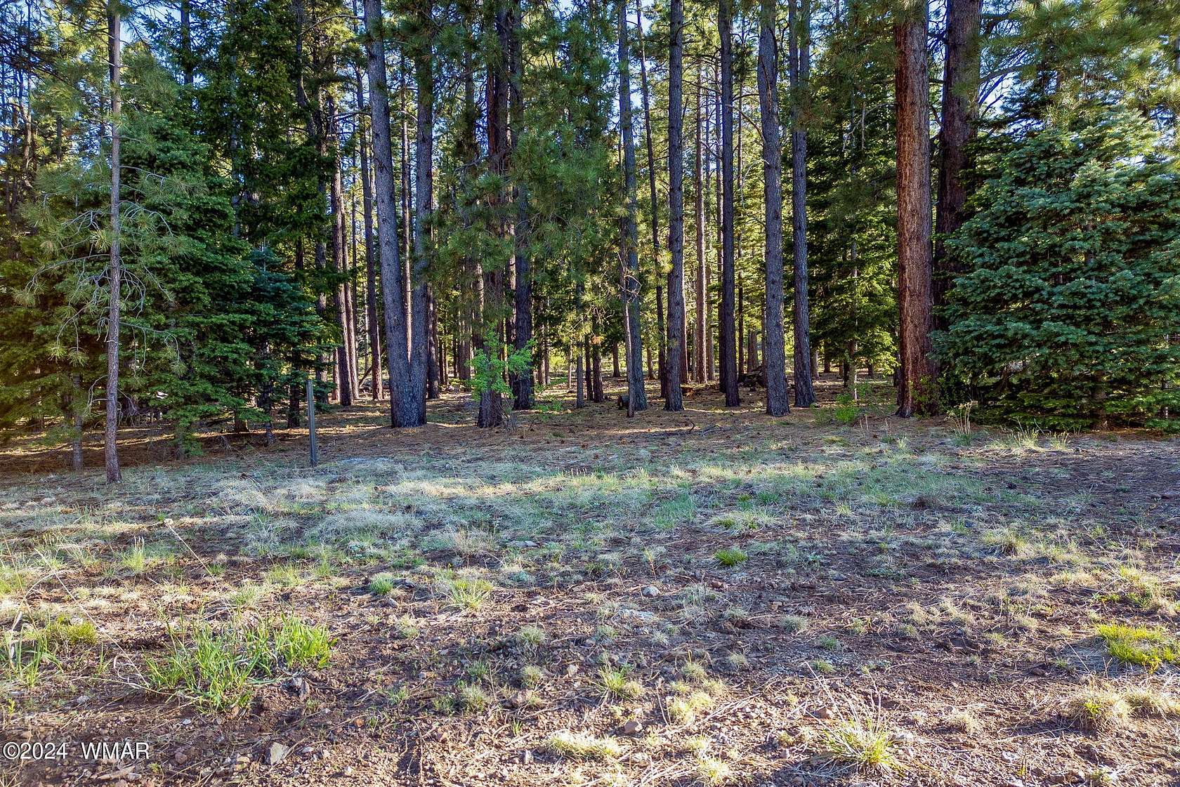 1.04 Acres of Residential Land for Sale in Greer, Arizona