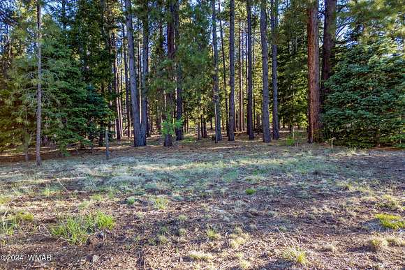 1 Acre of Residential Land for Sale in Greer, Arizona