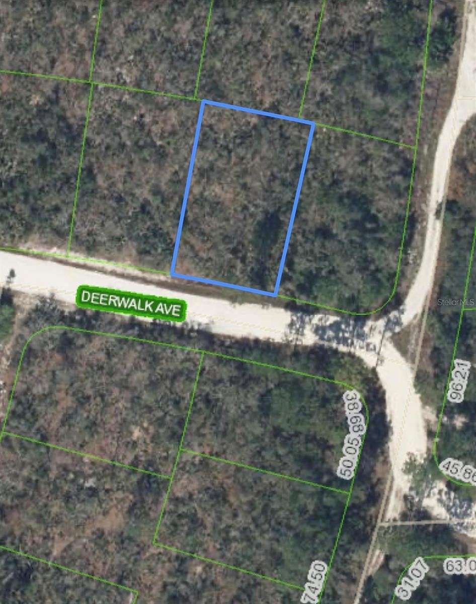 0.22 Acres of Residential Land for Sale in Lake Placid, Florida