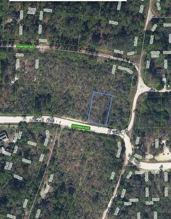 0.22 Acres of Residential Land for Sale in Lake Placid, Florida