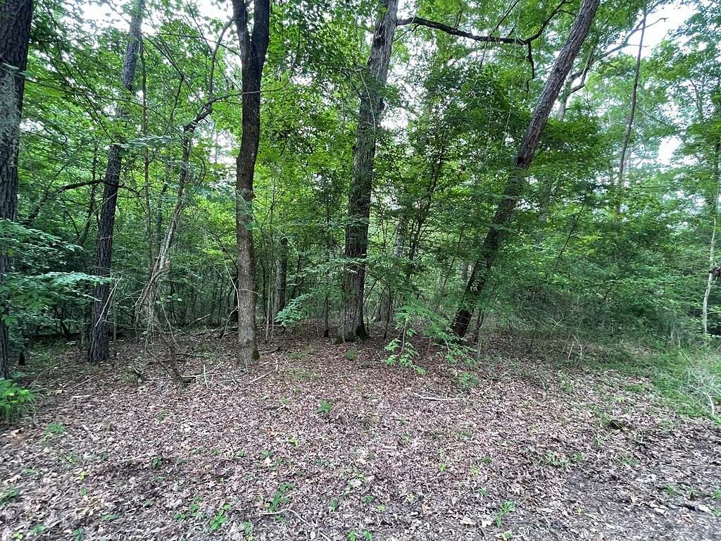 0.54 Acres of Land for Sale in Broaddus, Texas