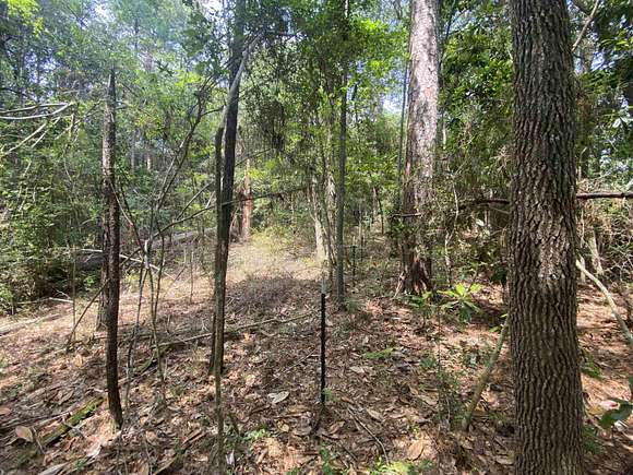 3.6 Acres of Residential Land for Sale in Woodville, Texas