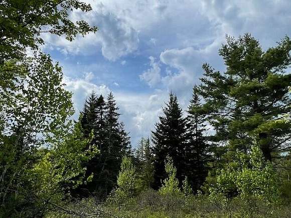 25 Acres of Land for Sale in Pembroke, Maine