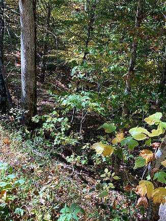 2.27 Acres of Residential Land for Sale in Townsend, Tennessee - LandSearch