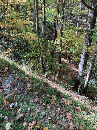 2.27 Acres of Residential Land for Sale in Townsend, Tennessee - LandSearch