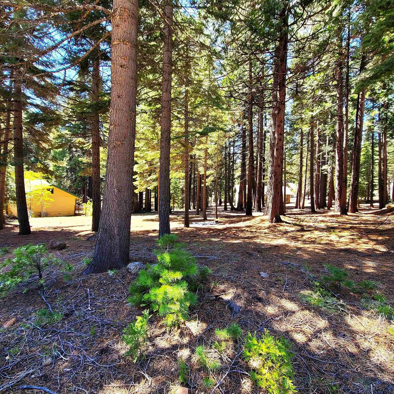 0.4 Acres of Residential Land for Sale in Lake Almanor Country Club, California