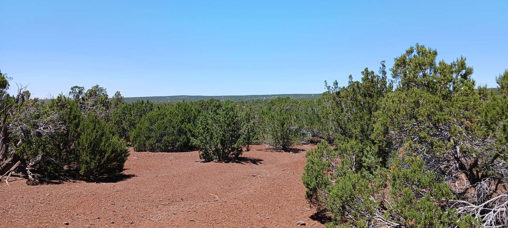 Residential Land for Sale in Concho, Arizona