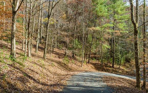 0.99 Acres of Residential Land for Sale in Ellijay, Georgia