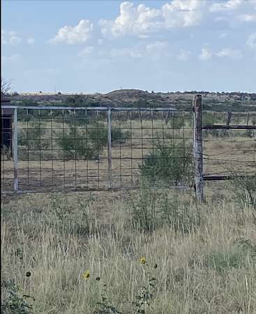 295 Acres of Agricultural & Residential Land for Sale in Megargel, Texas