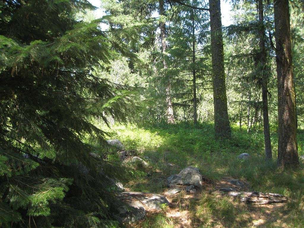 3.19 Acres of Residential Land for Sale in McCall, Idaho