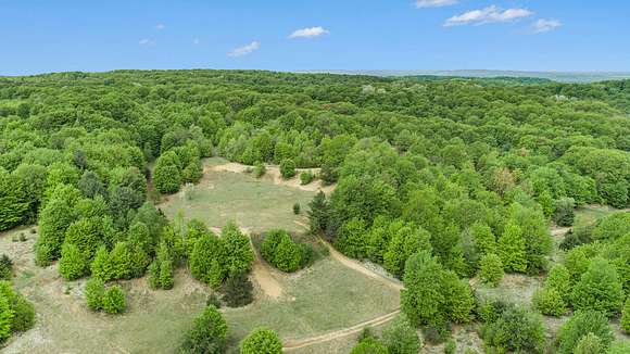 48 Acres of Recreational Land for Sale in Thompsonville, Michigan