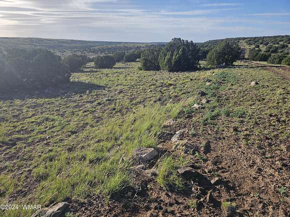 1.04 Acres of Land for Sale in Concho, Arizona