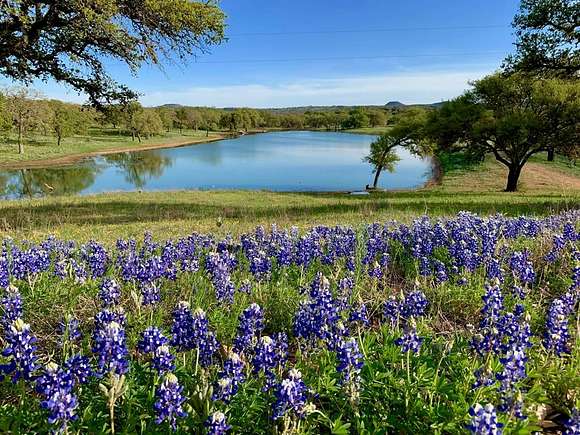 344 Acres of Agricultural Land for Sale in Fredericksburg, Texas
