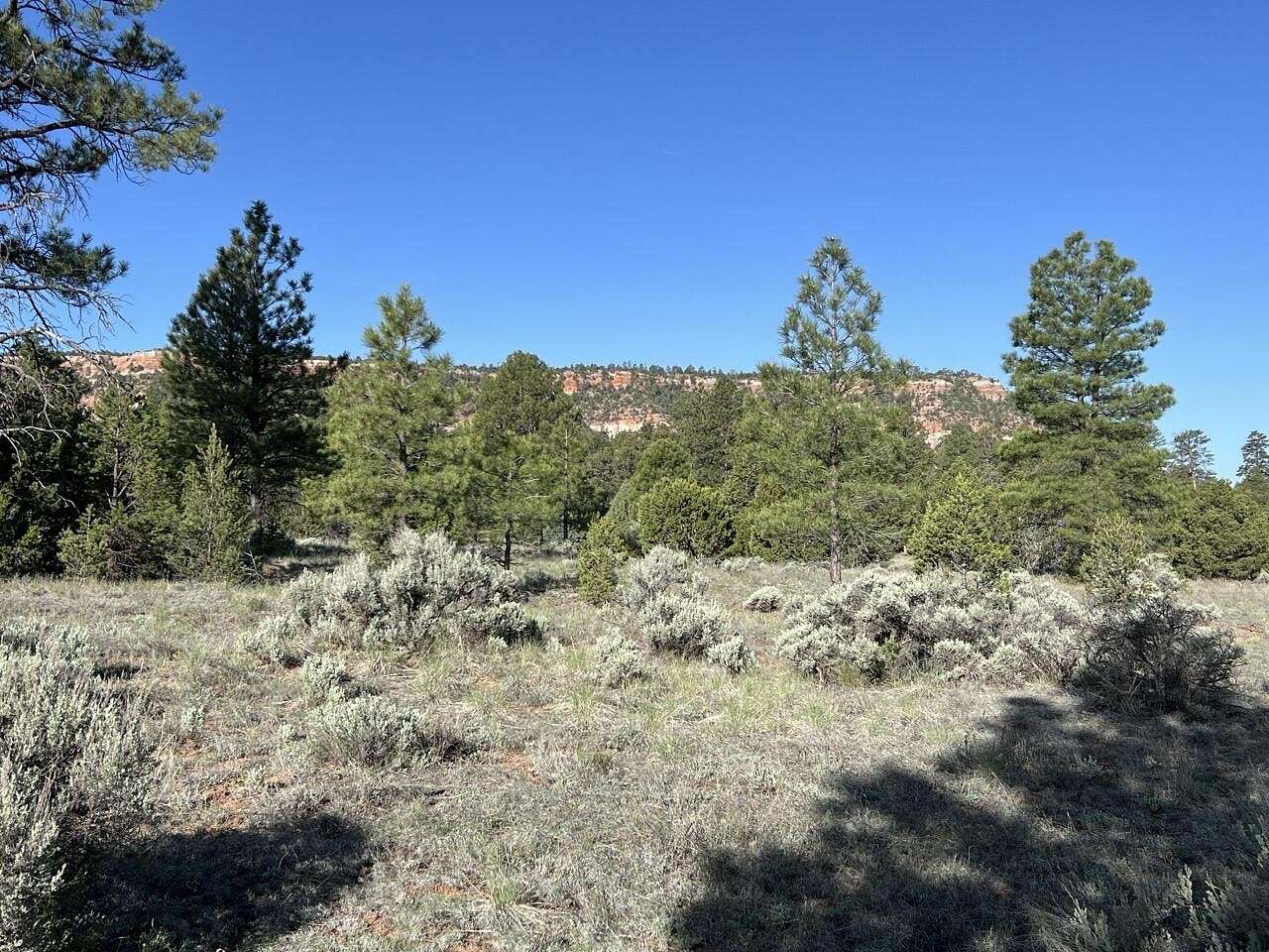 5 Acres of Agricultural Land for Sale in Ramah, New Mexico