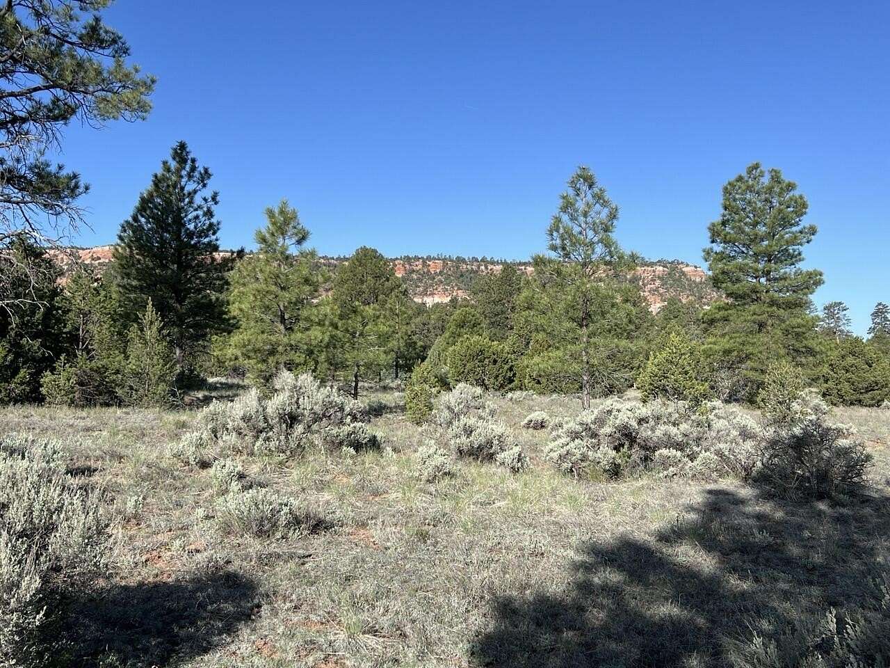 5 Acres of Recreational Land & Farm for Sale in Ramah, New Mexico