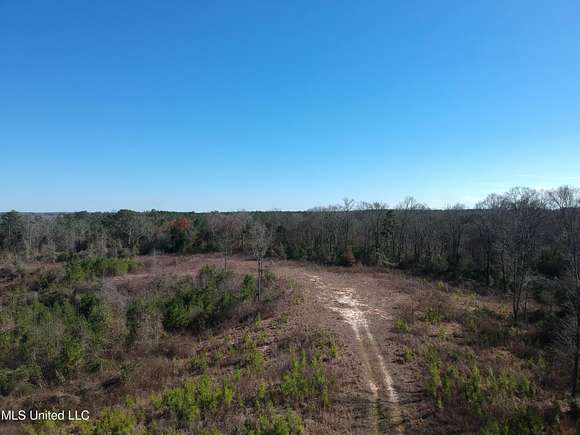 30 Acres of Recreational Land for Sale in Forest, Mississippi