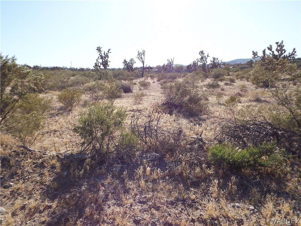 1 Acre of Residential Land for Sale in Dolan Springs, Arizona