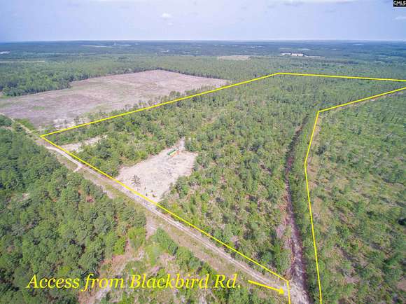 65 Acres of Recreational Land for Sale in Wagener, South Carolina
