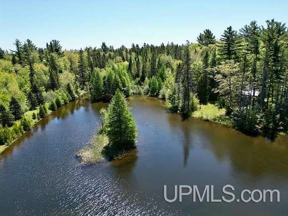 40 Acres of Improved Recreational Land for Sale in Mohawk, Michigan