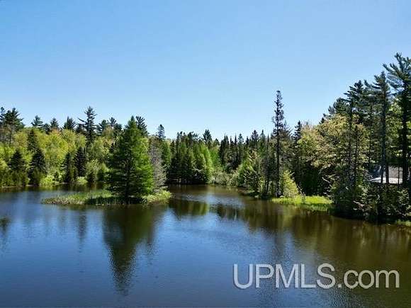 40 Acres of Improved Recreational Land for Sale in Mohawk, Michigan