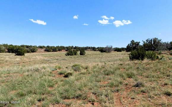 37.9 Acres of Recreational Land for Sale in Concho, Arizona